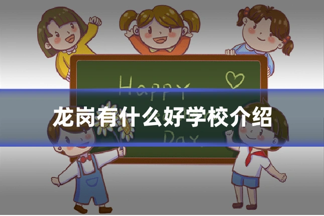 龙岗有什么好学校介绍