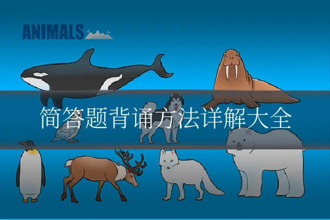 简答题背诵方法详解大全