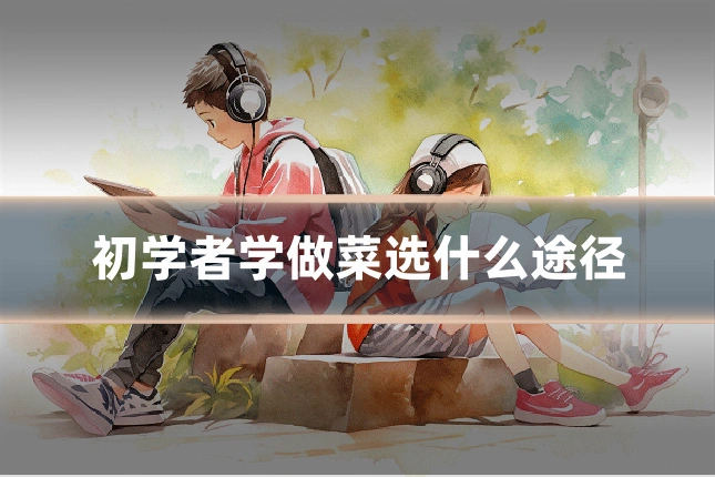 初学者学做菜选什么途径