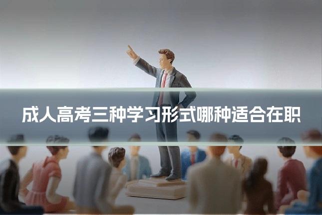 成人高考三种学习形式哪种适合在职
