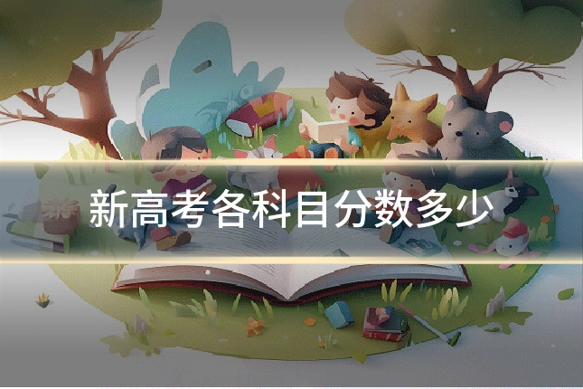 新高考各科目分数多少