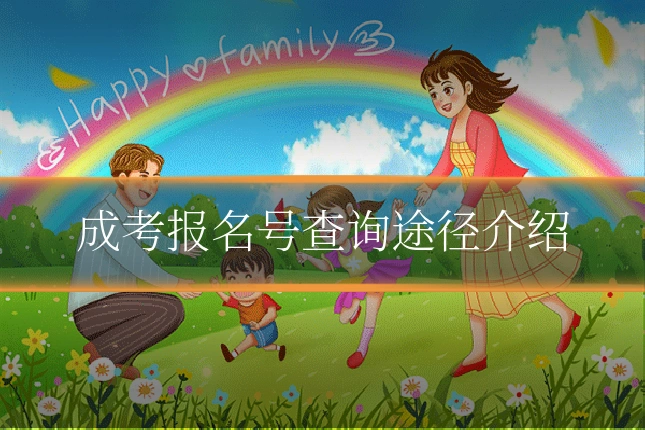 成考报名号查询途径介绍