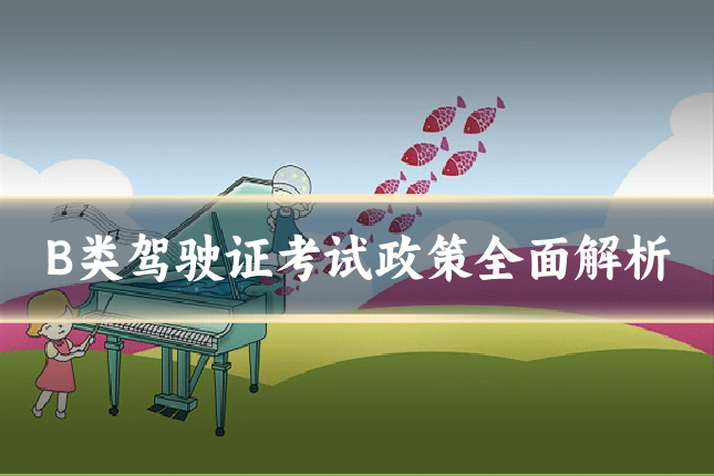 B类驾驶证考试政策全面解析