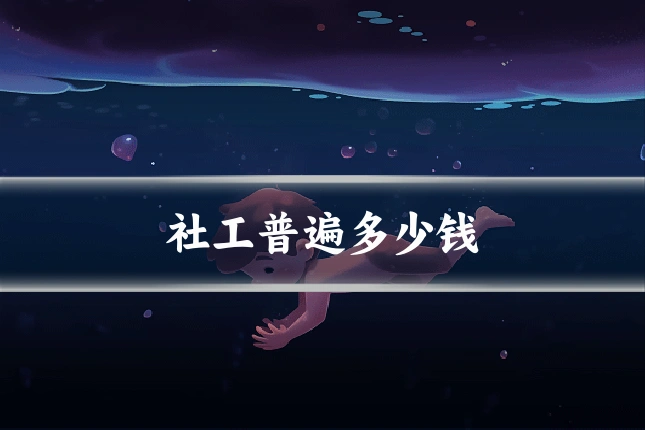 社工普遍多少钱
