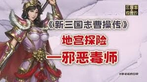 新三国志曹操传西殿侧室二玩法攻略