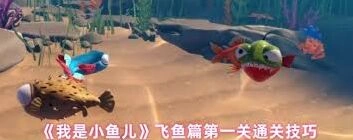 我是小鱼儿飞鱼操作教程分享