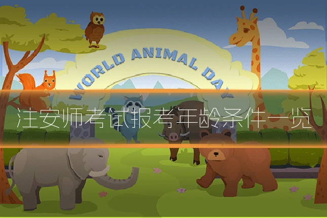 注安师考试报考年龄条件一览