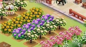 我的花园世界山茶花全面教程