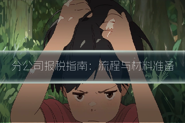 分公司报税指南：流程与材料准备