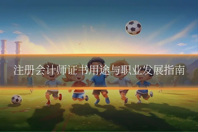 注册会计师证书用途与职业发展指南