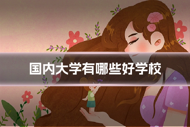国内大学有哪些好学校