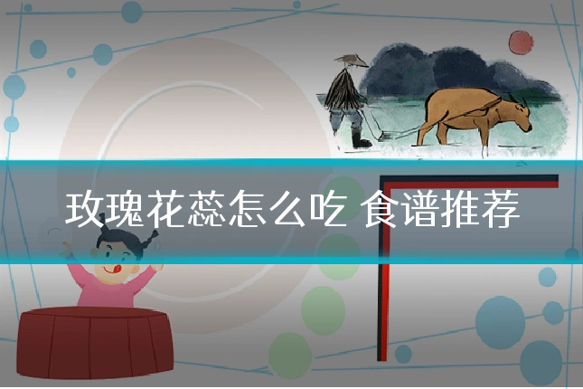 玫瑰花蕊怎么吃 食谱推荐
