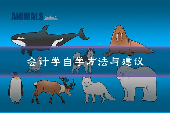 会计学自学方法与建议
