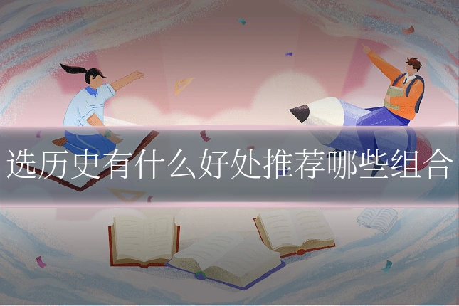 选历史有什么好处推荐哪些组合