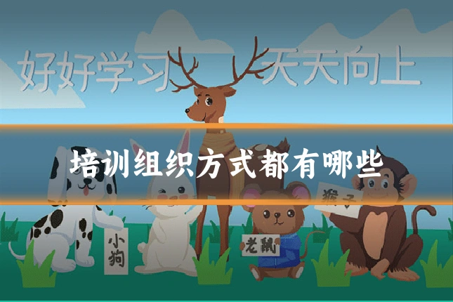 培训组织方式都有哪些