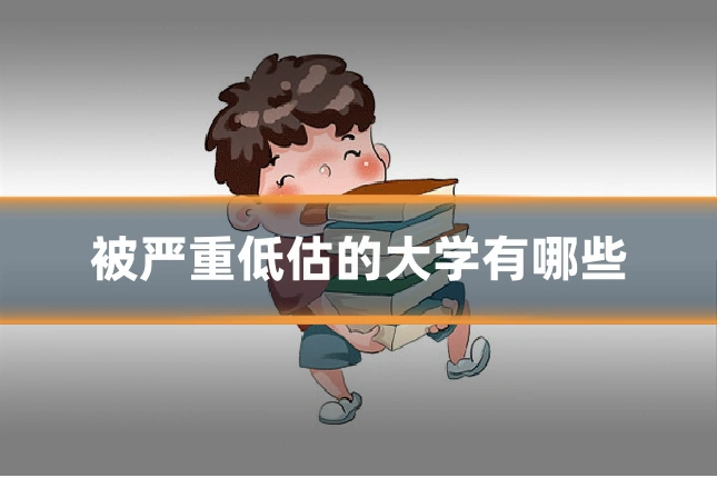 被严重低估的大学有哪些