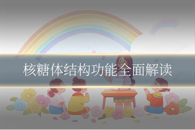 核糖体结构功能全面解读