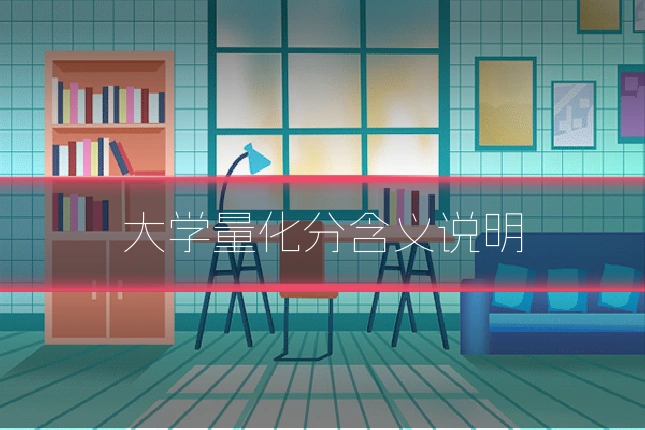 大学量化分含义说明