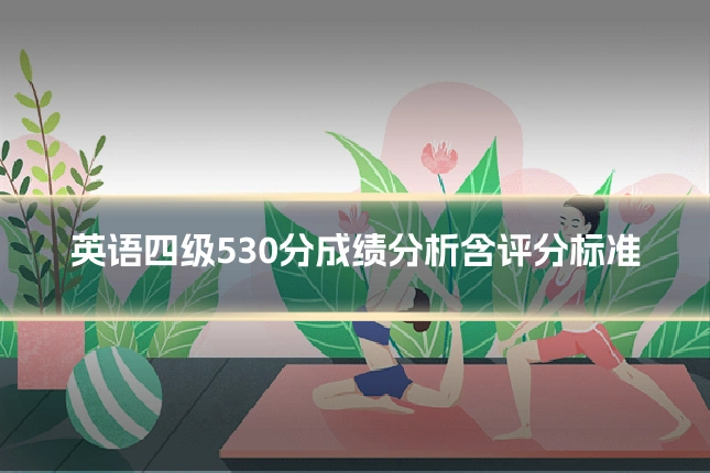 英语四级530分成绩分析含评分标准