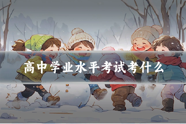 高中学业水平考试考什么