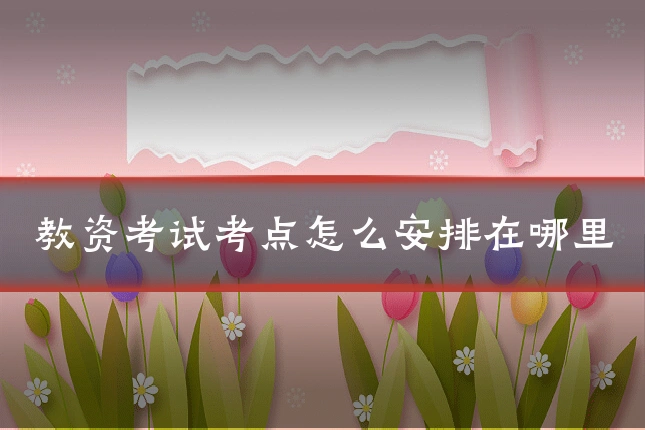 教资考试考点怎么安排在哪里