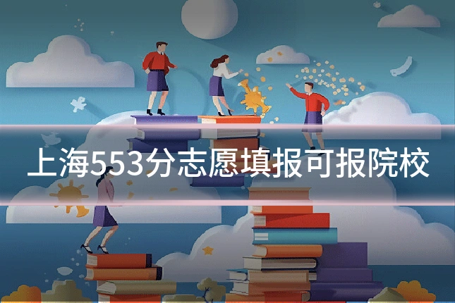 上海553分志愿填报可报院校