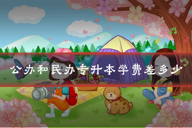 公办和民办专升本学费差多少