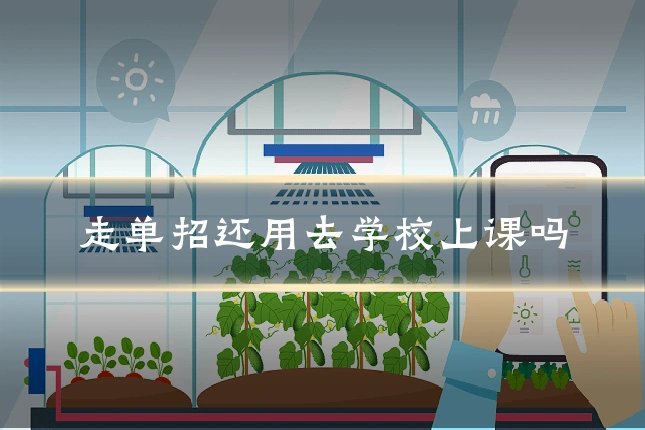走单招还用去学校上课吗