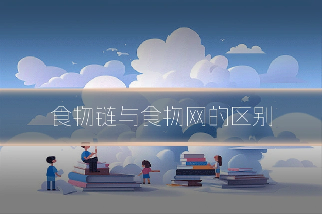 食物链与食物网的区别
