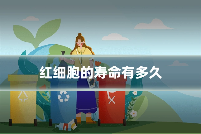 红细胞的寿命有多久