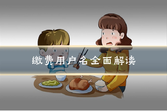 缴费用户名全面解读