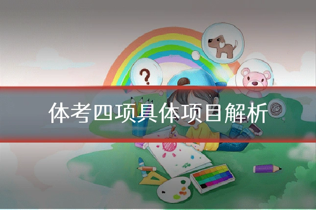 体考四项具体项目解析