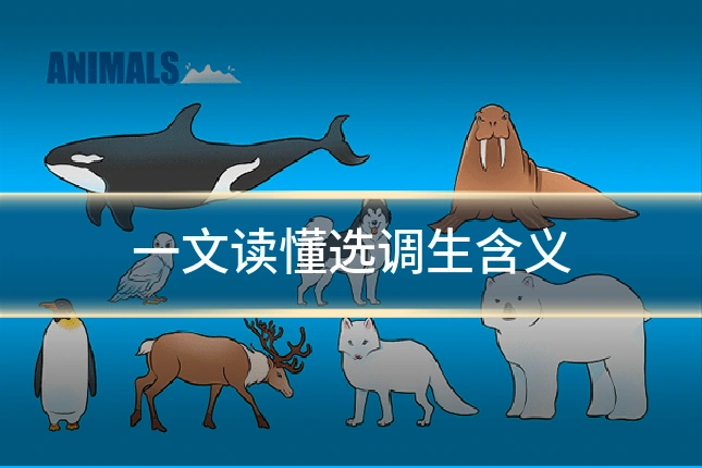 一文读懂选调生含义