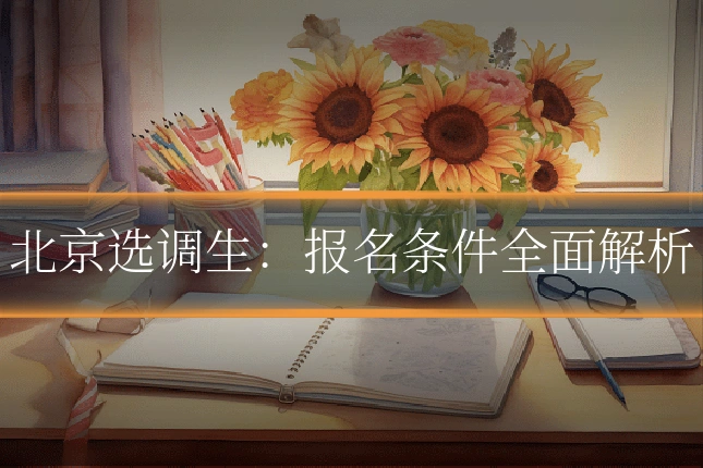 北京选调生：报名条件全面解析