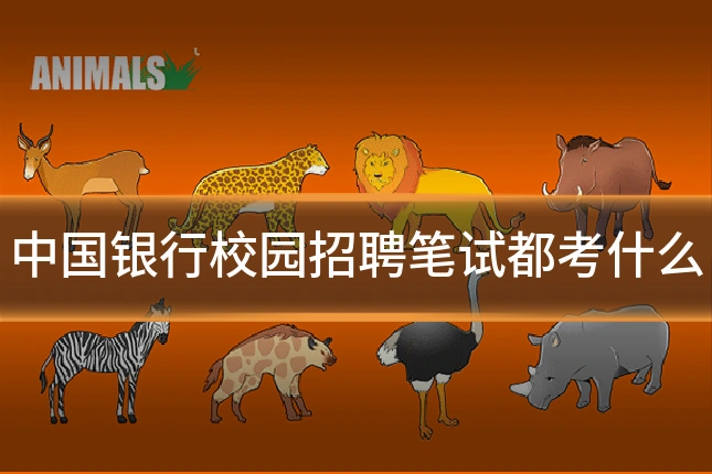 中国银行校园招聘笔试都考什么