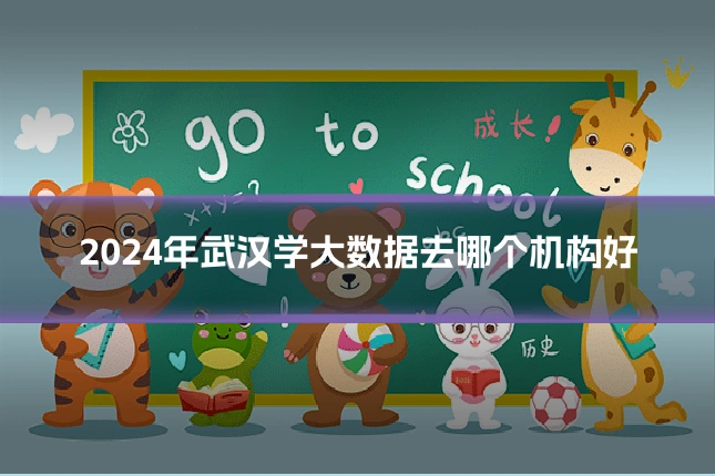 2024年武汉学大数据去哪个机构好
