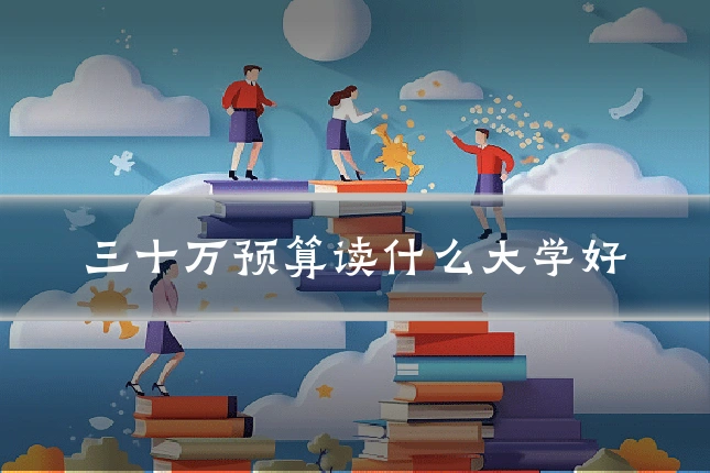 三十万预算读什么大学好