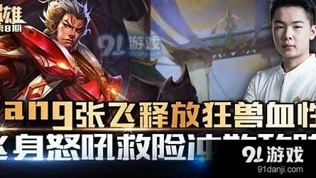 老杨张飞技巧详细教学