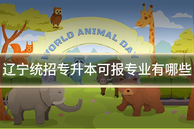 辽宁统招专升本可报专业有哪些