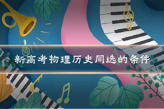 新高考物理历史同选的条件