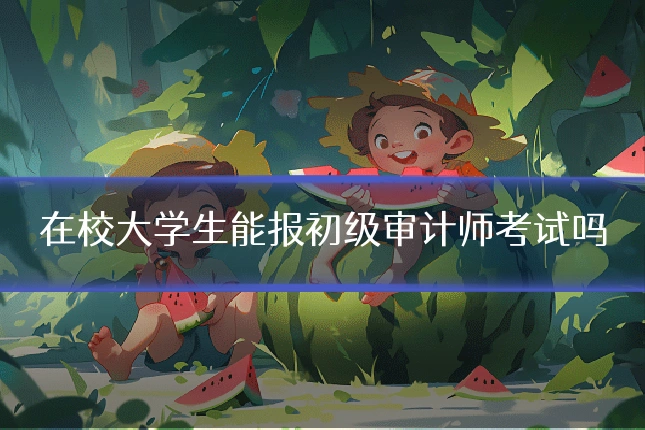 在校大学生能报初级审计师考试吗