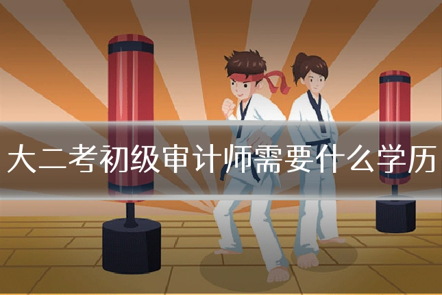大二考初级审计师需要什么学历