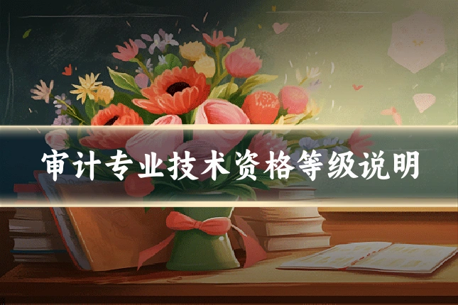 审计专业技术资格等级说明
