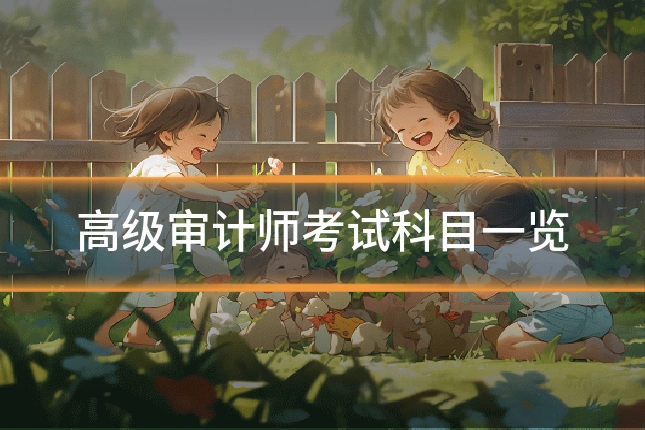 高级审计师考试科目一览