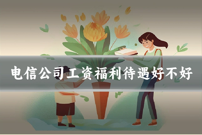 电信公司工资福利待遇好不好