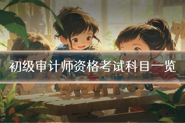 初级审计师资格考试科目一览