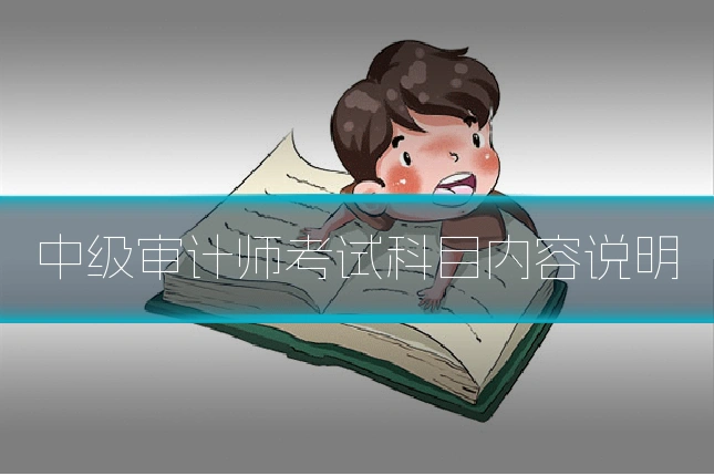 中级审计师考试科目内容说明