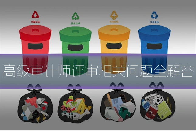高级审计师评审相关问题全解答