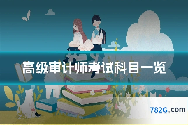高级审计师考试科目一览