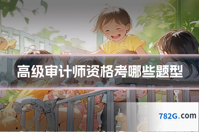 高级审计师资格考哪些题型